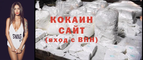 СК Алексин