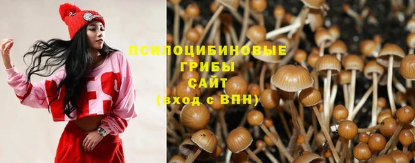 дмт Рославль